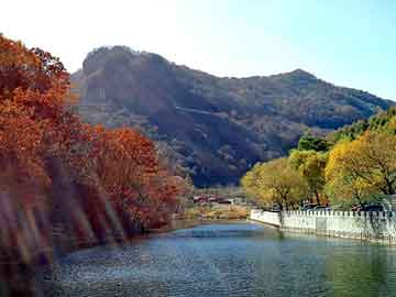管家一肖一碼最準(zhǔn)，揭秘精準(zhǔn)預(yù)測(cè)背后的秘密，揭秘管家一肖一碼精準(zhǔn)預(yù)測(cè)背后的秘密