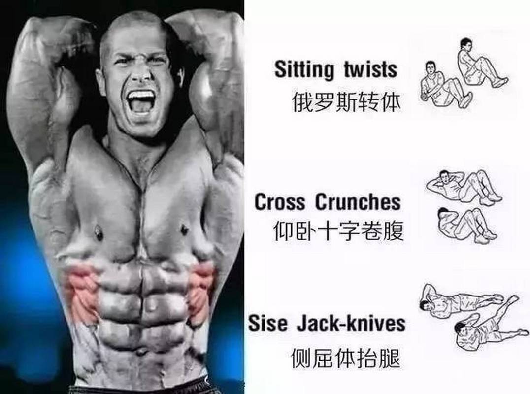 塑造完美腹肌，從內部硬度到外部線條的挑戰，塑造完美腹肌，從深層硬度到表層線條的全面挑戰