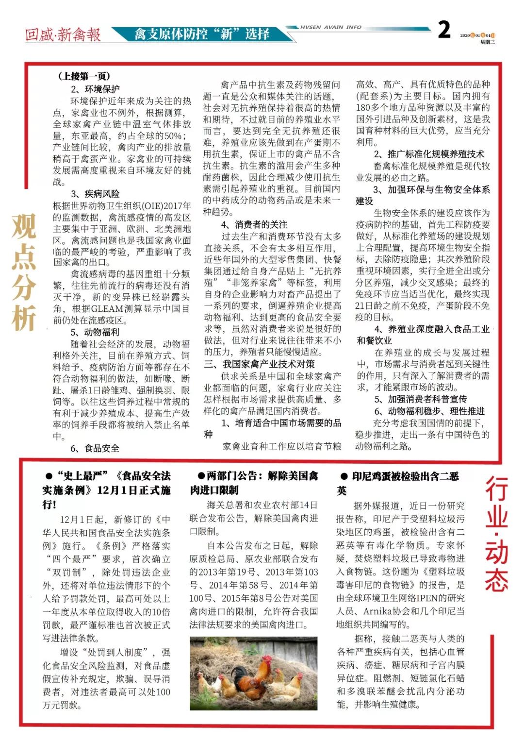最新禽報網，引領禽類產業進入數字化新時代，最新禽報網，引領禽類產業邁入數字化新時代