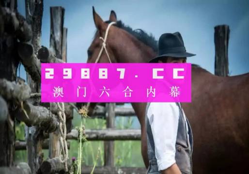 澳門一肖一碼一必中一肖同舟前進——探尋命運之碼的奧秘，澳門命運之碼探尋，一肖一碼一必中，同舟前進的奧秘