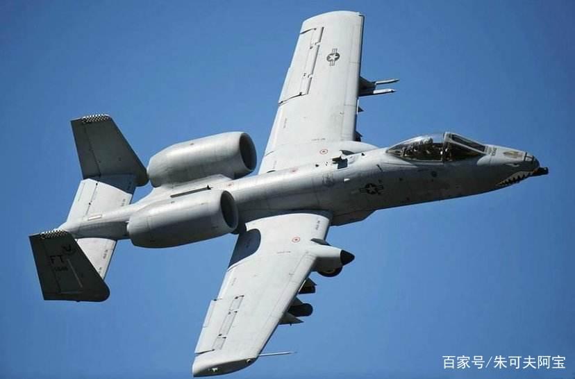 疣豬A10，草原上的獨特魅力與生存智慧，疣豬A10，草原生存之獨特魅力與智慧